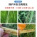 百农思达阿维氟铃脲稻纵卷叶螟菜青虫钻心虫杀虫剂