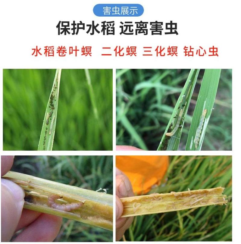 百农思达阿维氟铃脲稻纵卷叶螟菜青虫钻心虫杀虫剂