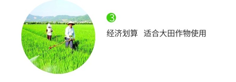 百农思达阿维氟铃脲稻纵卷叶螟菜青虫钻心虫杀虫剂