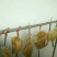 土货，百花蜜