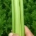高原夏菜质量好颜色正有需要的联系我