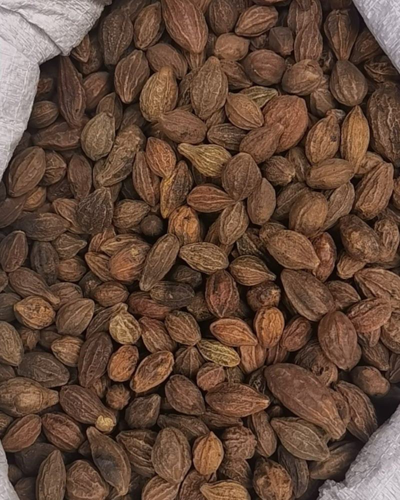 壳子，干货香料专供，大量现货，门店专卖，欢迎联系