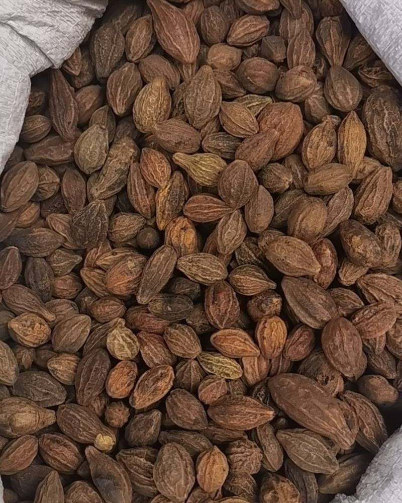 壳子，干货香料专供，大量现货，门店专卖，欢迎联系