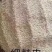 麸皮