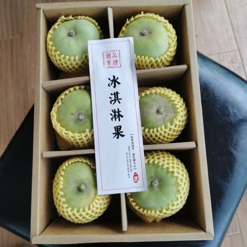 白柿冰淇淋果苗白柿苗号称水果界的哈根达斯，天然冰淇淋