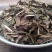 草珊瑚肿节风九节风接骨链量大从优品种齐全
