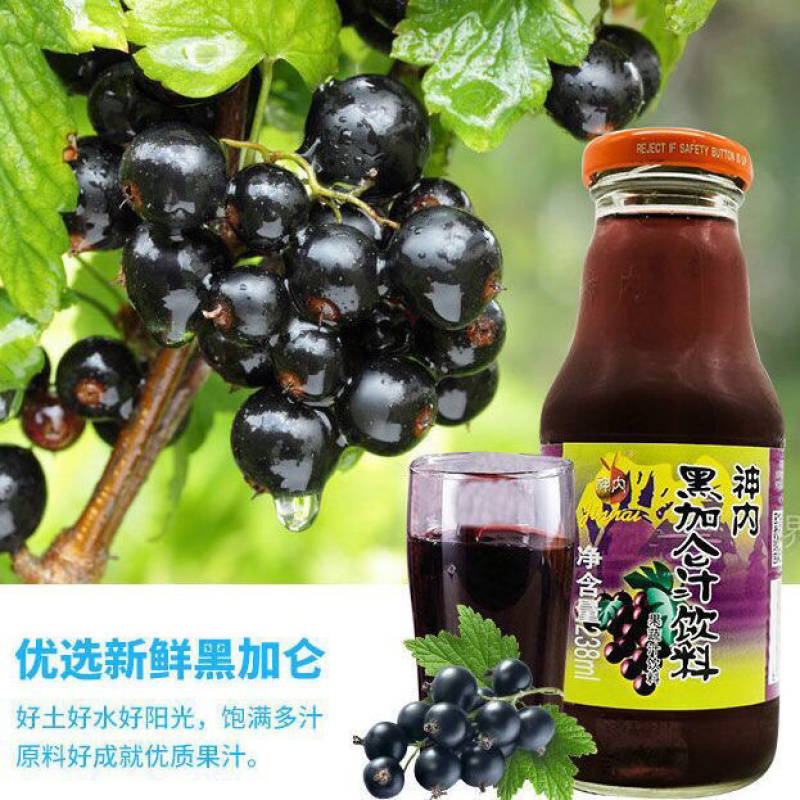 新疆神内胡萝卜汁蟠桃汁黑加仑汁番茄汁石榴汁沙棘汁7种口味
