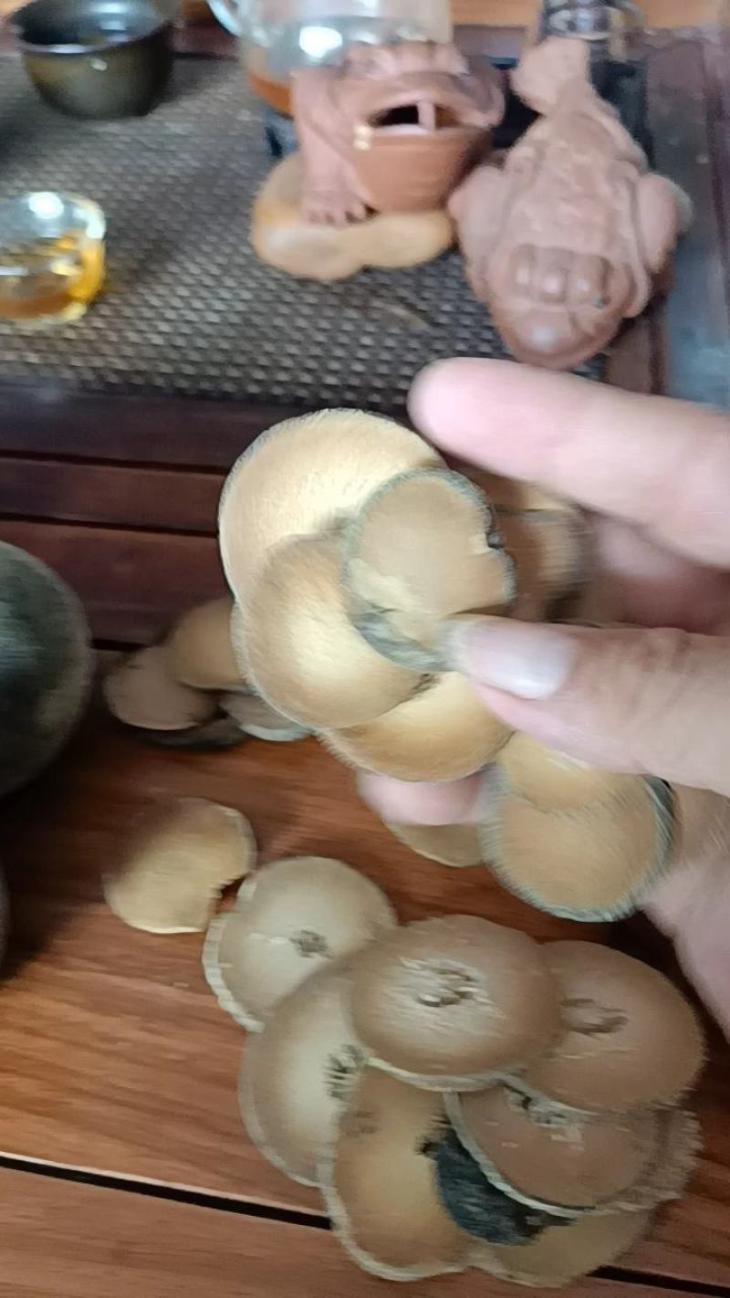 橘红