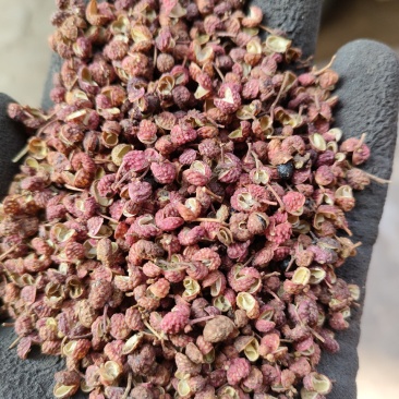 《山东大红袍》产地直发一手货源大量新货、现货