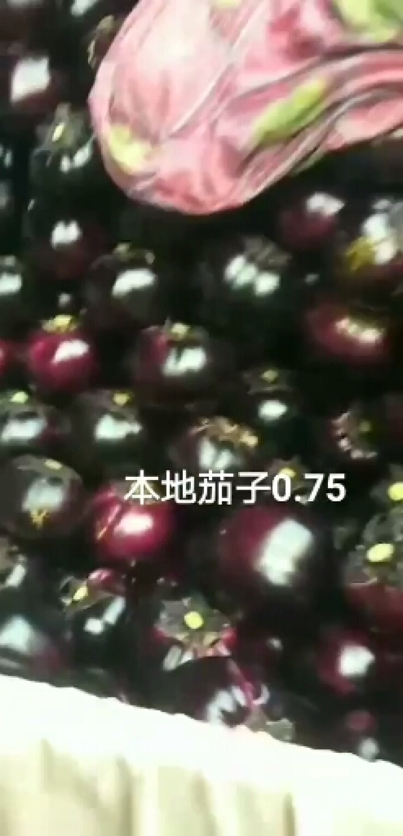 茄子