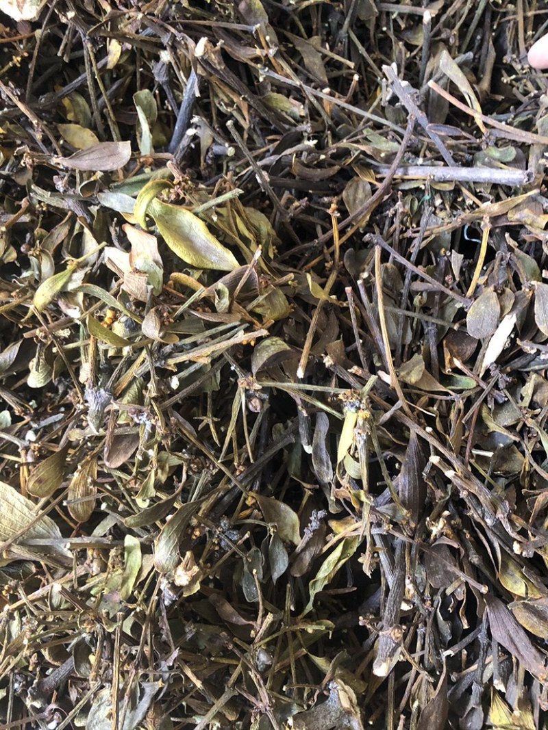 核桃寄生统货