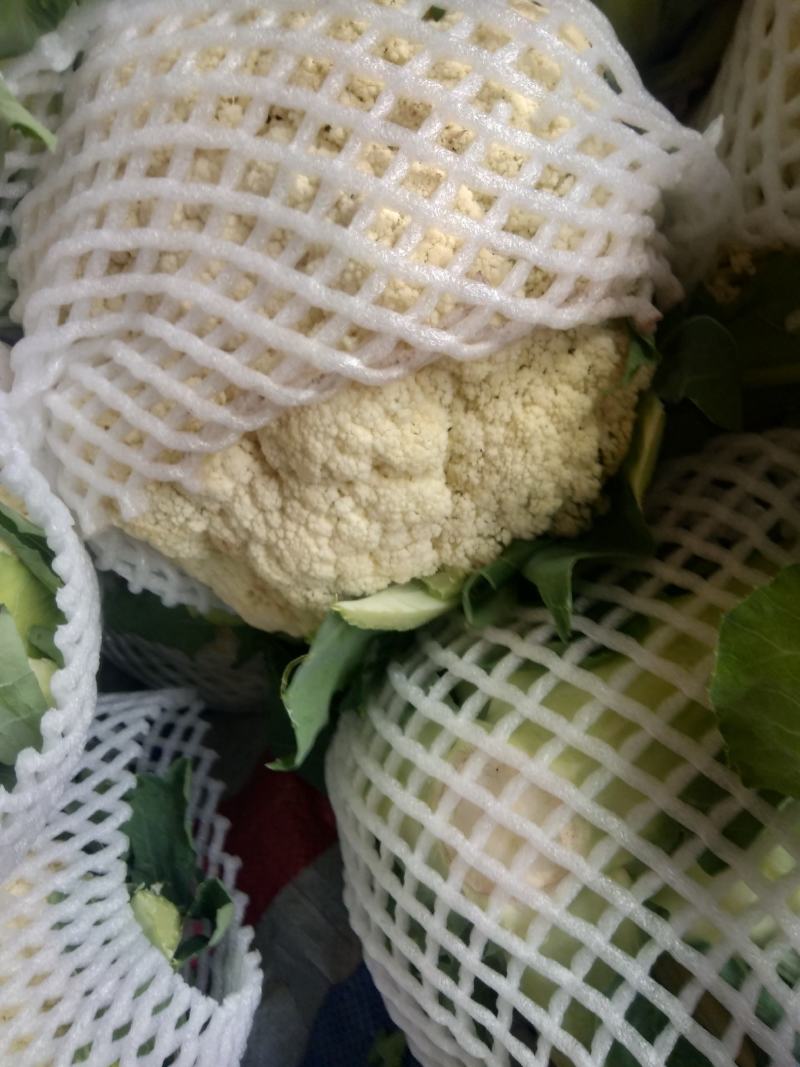 红古精品散花