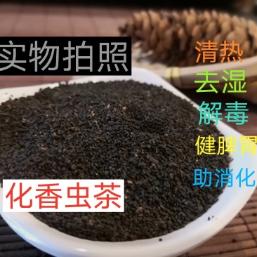 广西特产陈年龙珠茶六堡茶虫茶（实图拍摄）