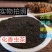 广西特产陈年龙珠茶六堡茶虫茶（实图拍摄）