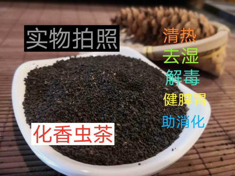 广西特产陈年龙珠茶六堡茶虫茶（实图拍摄）