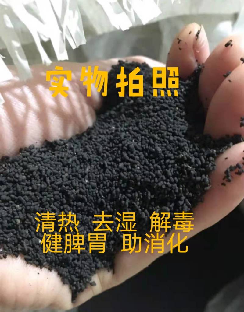 广西特产陈年龙珠茶六堡茶虫茶（实图拍摄）