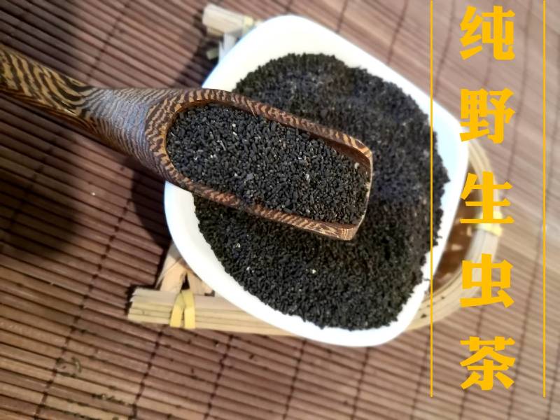 广西特产陈年龙珠茶六堡茶虫茶（实图拍摄）