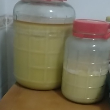 自家土产蜂蜜