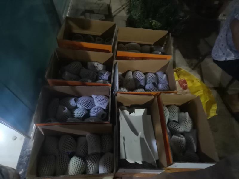 需要芒果的给我联系