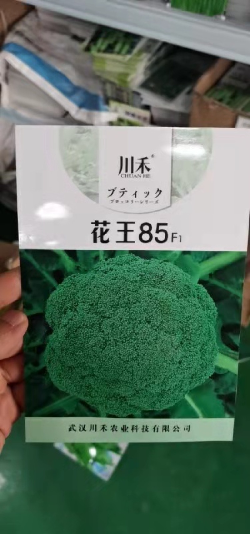 冰翡翠西兰花改良品种中晚熟单球800克花蕾细密120天