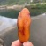 番薯干/农家番薯干/无添加剂番薯干/