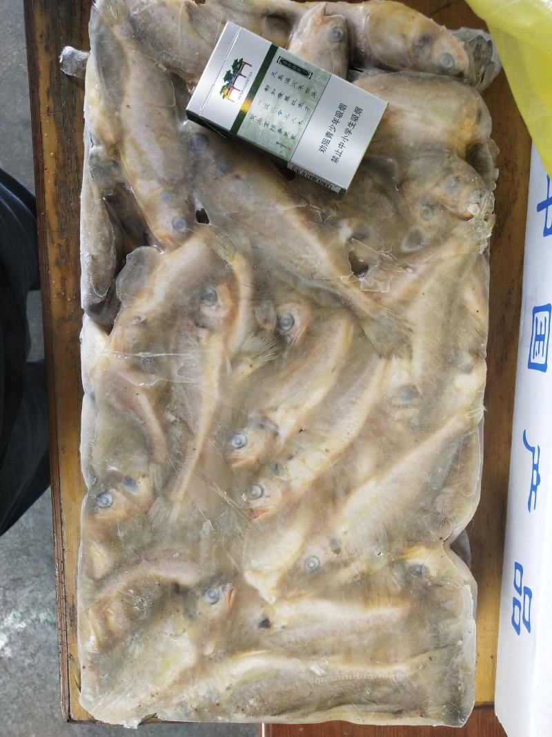 鲳鱼，花鱼，各种经济鱼，价格实惠，商超优选