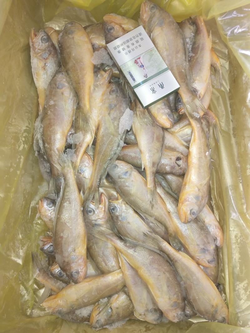 鲳鱼，花鱼，各种经济鱼，价格实惠，商超优选