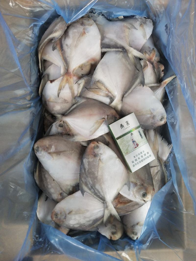 鲳鱼，花鱼，各种经济鱼，价格实惠，商超优选