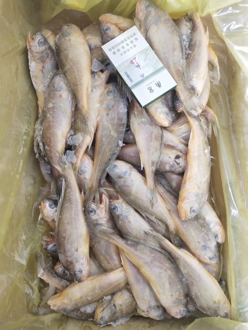 鲳鱼，花鱼，各种经济鱼，价格实惠，商超优选