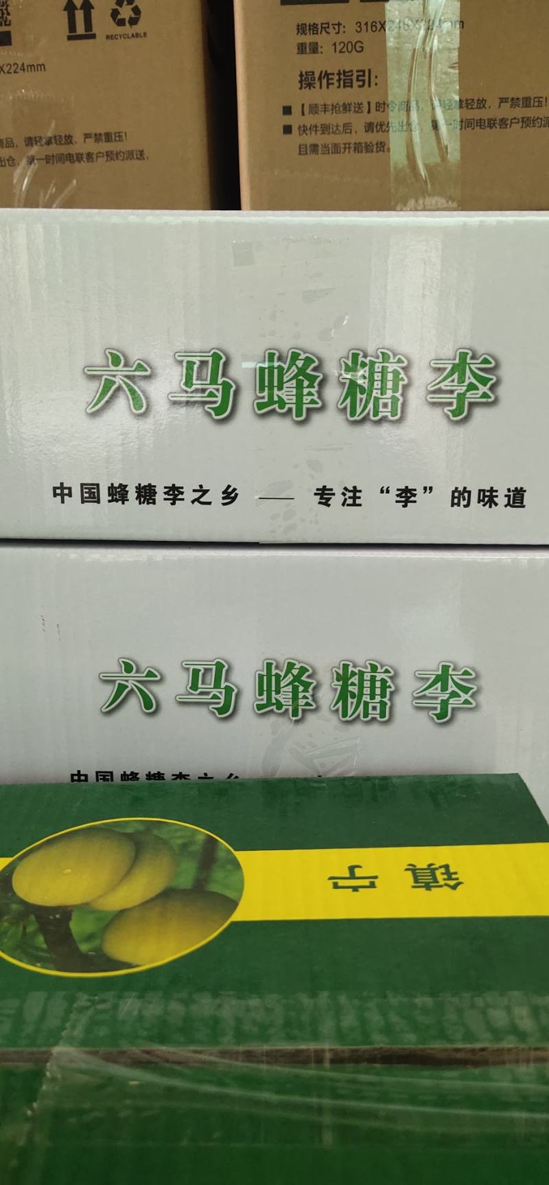 六马蜂螗李，原产地直供，一件代发，电商，