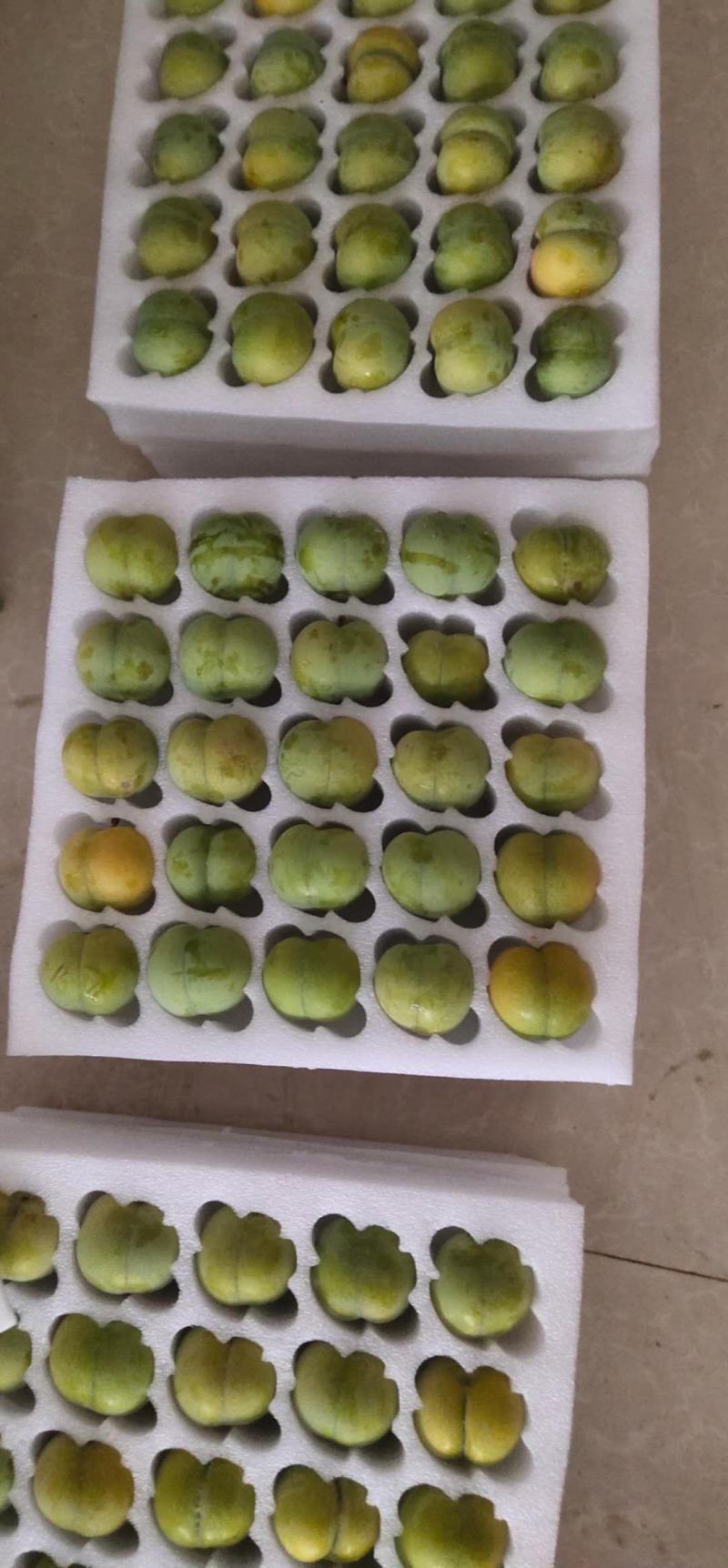 六马蜂螗李原产地直供，一件代发，招电商，可直达送货