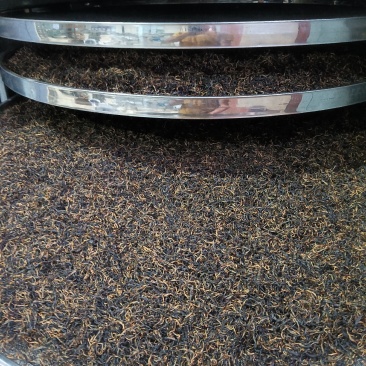 湖南省保靖县，保靖黄金茶【红茶】