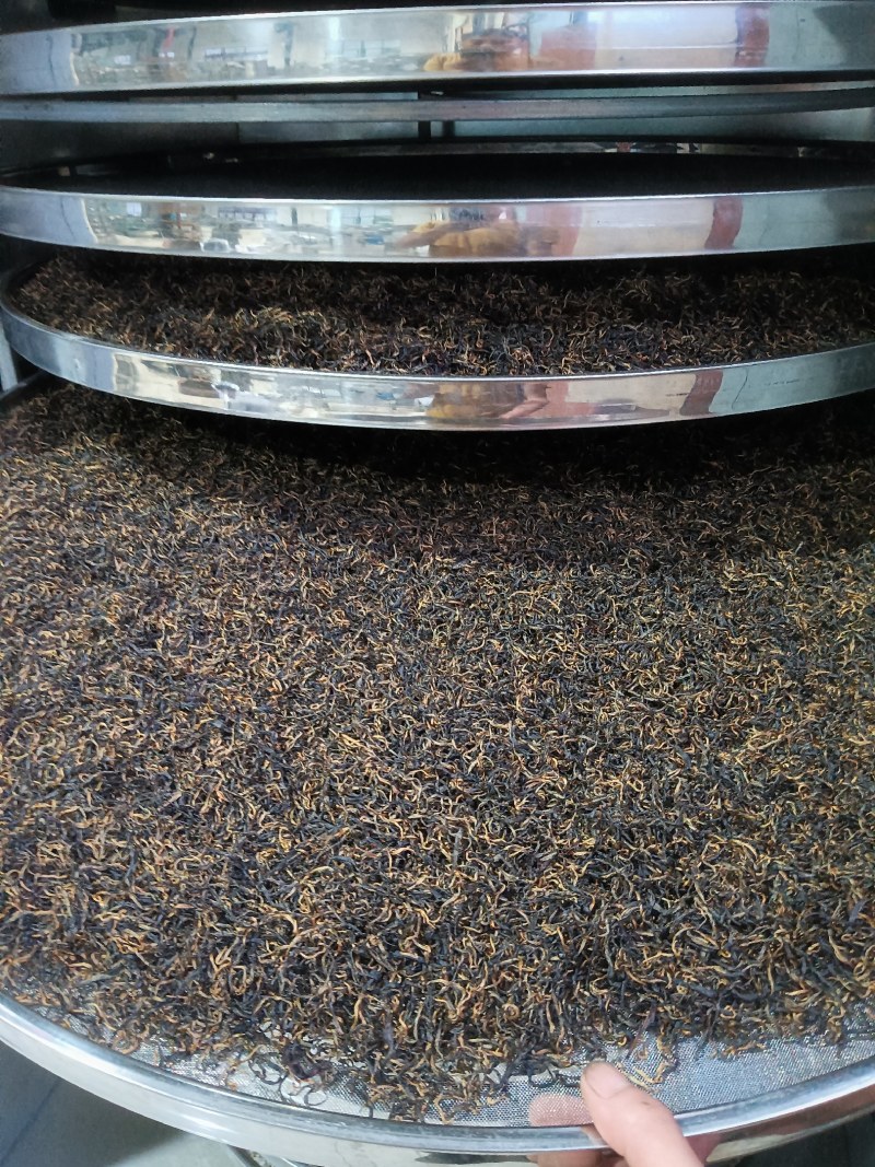 湖南省保靖县，保靖黄金茶【红茶】