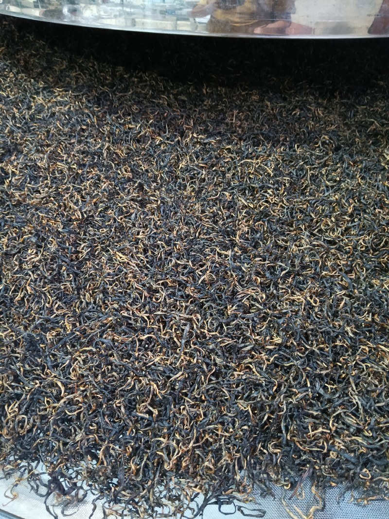 湖南省保靖县，保靖黄金茶【红茶】