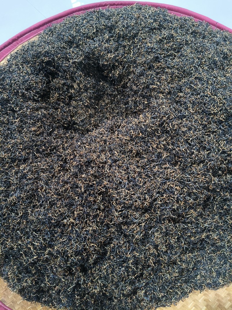湖南省保靖县，保靖黄金茶【红茶】