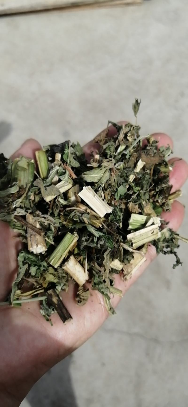 益母草干中药材晒干益母草泡水泡脚量大价优欢迎联系