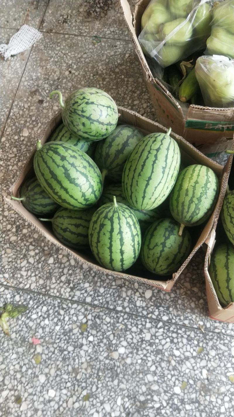 小吊瓜