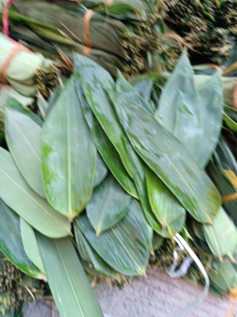 小通货粽叶整车批发价