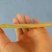 广西百色芒果台农，金煌芒统果次果每天可以收100吨