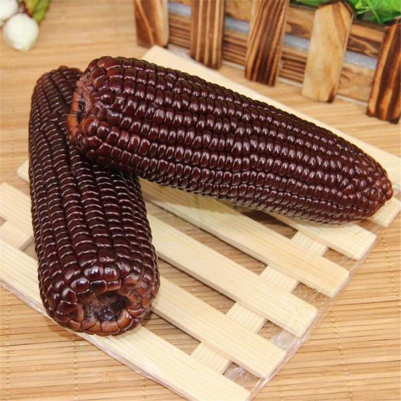 黑玉米