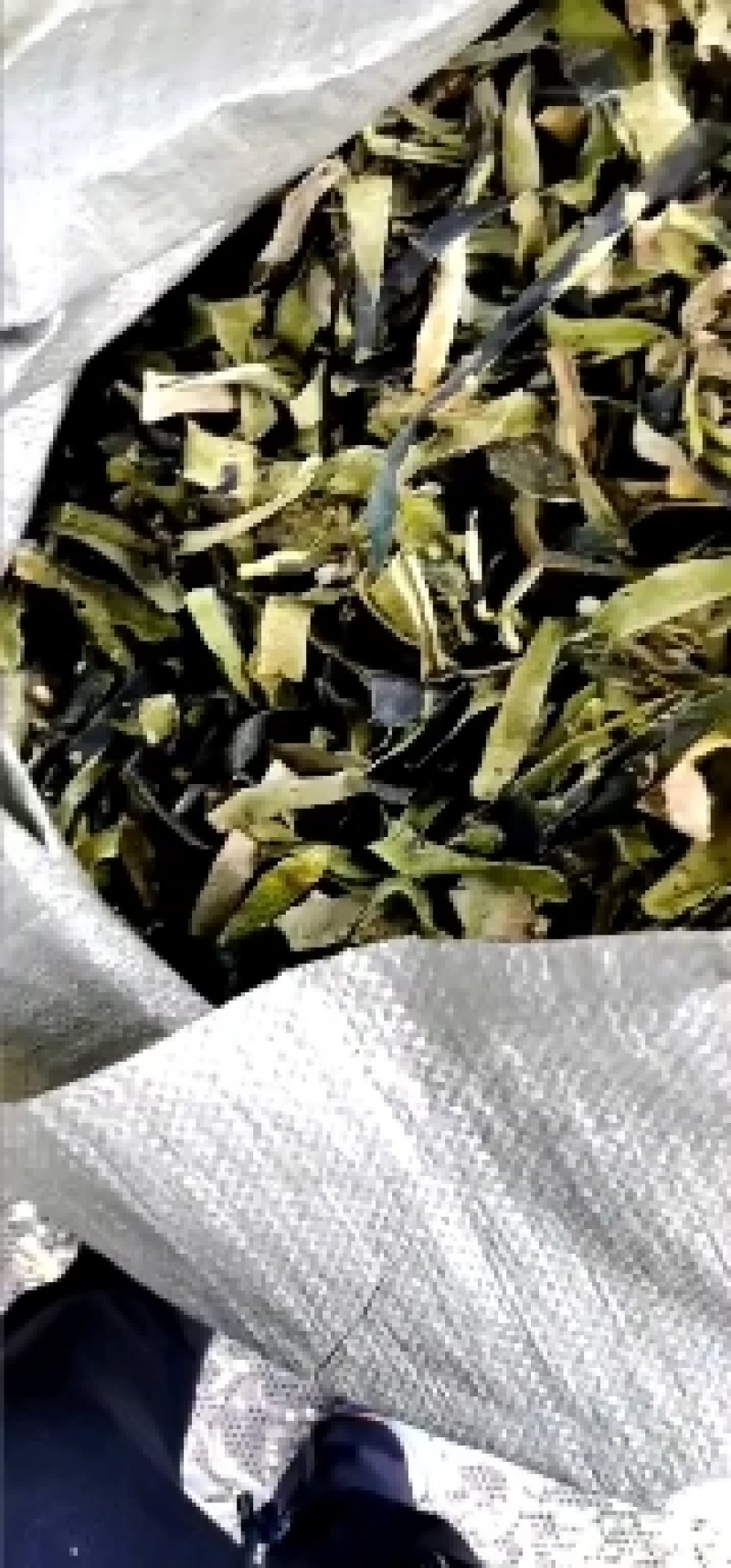 湖北新冬瓜皮，产新/产地直发/量大价优/一手货源