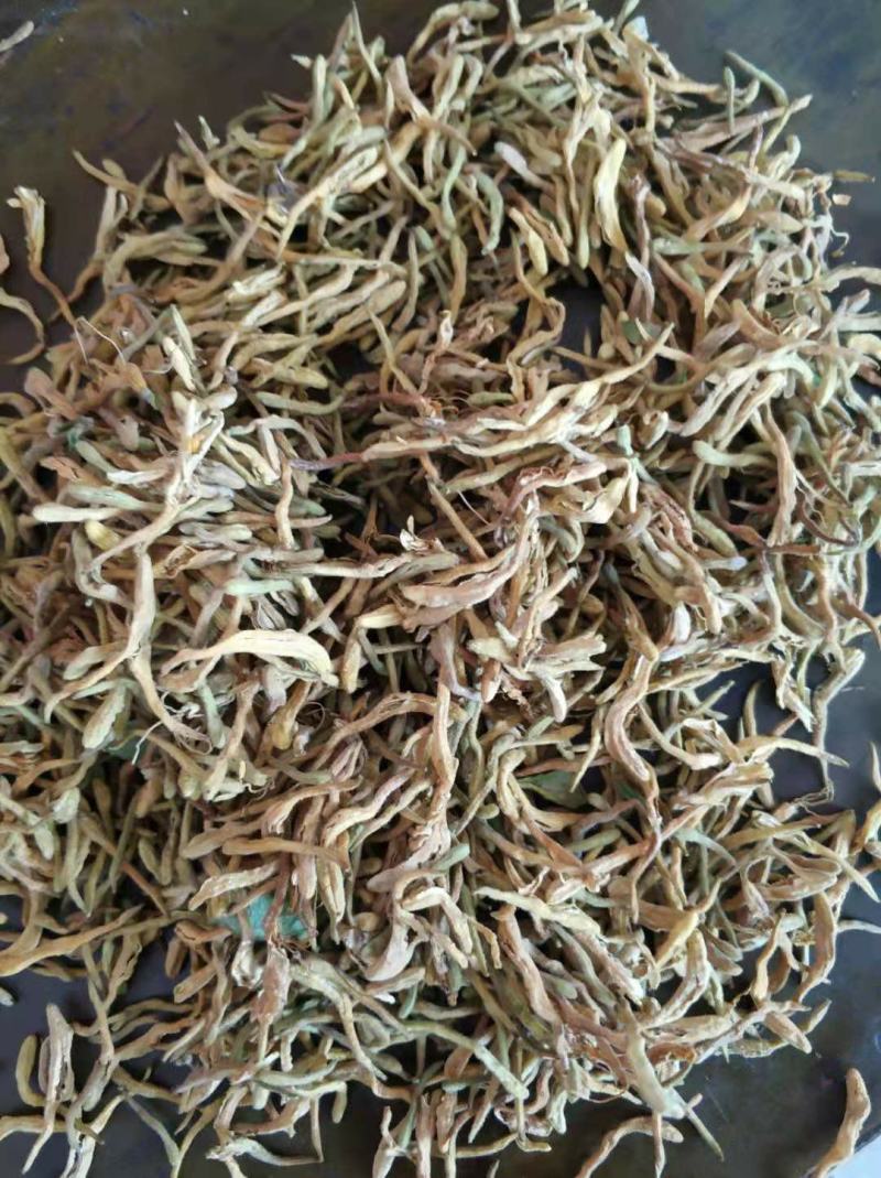 金银花品种基地金银花欢迎各大药厂对接支持一件代发