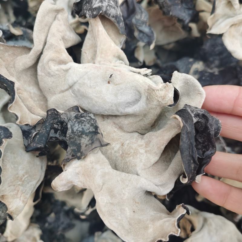 头茬干黑木耳白背木耳毛木耳朵肉厚无根
