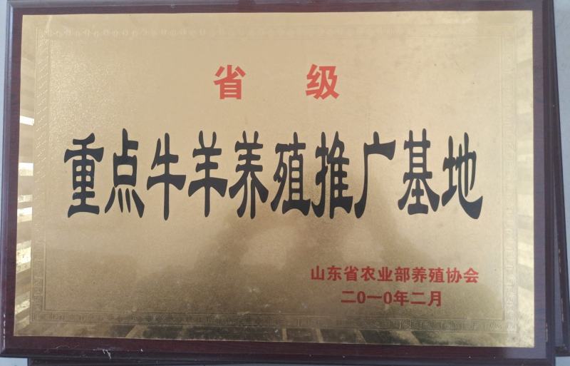 黑山羊买十送一货到付款自由挑选免费送货