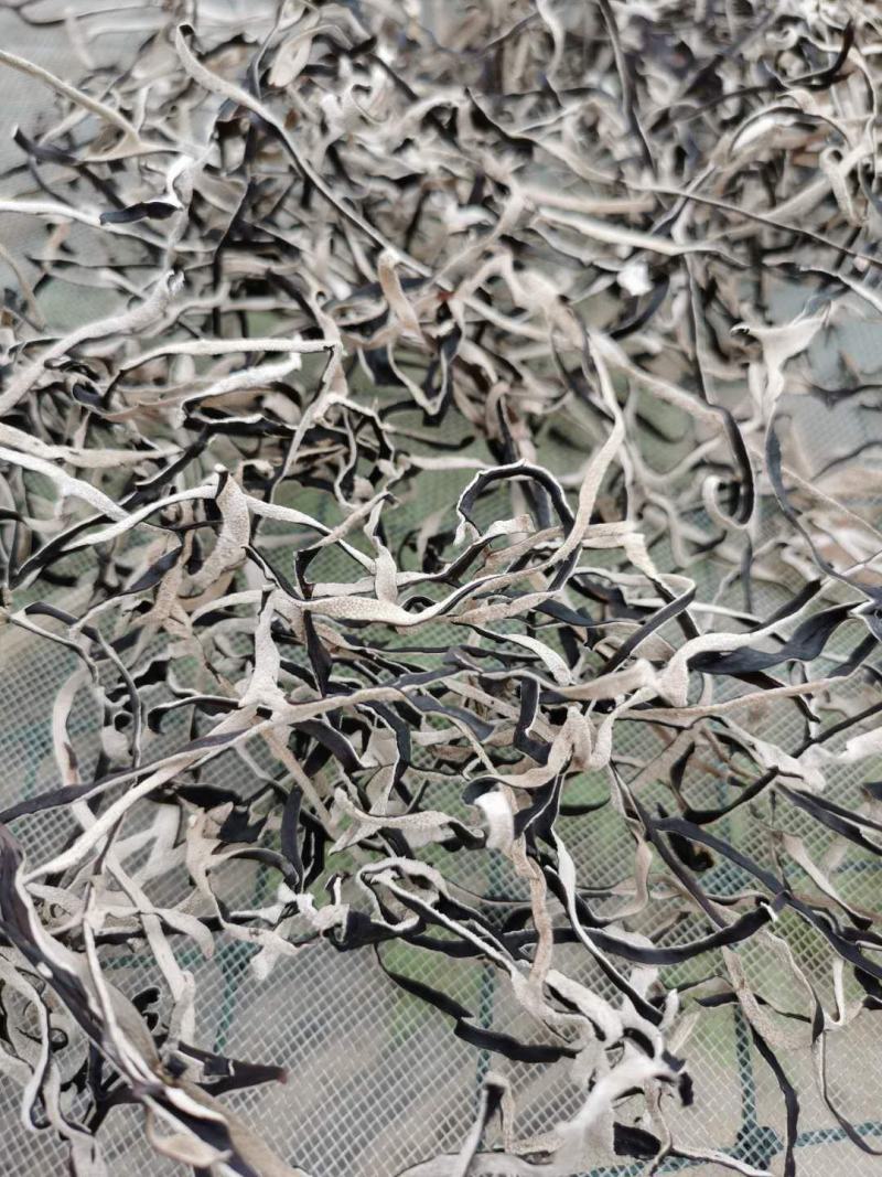 干木耳丝批发无根肉厚螺蛳粉厂家直发