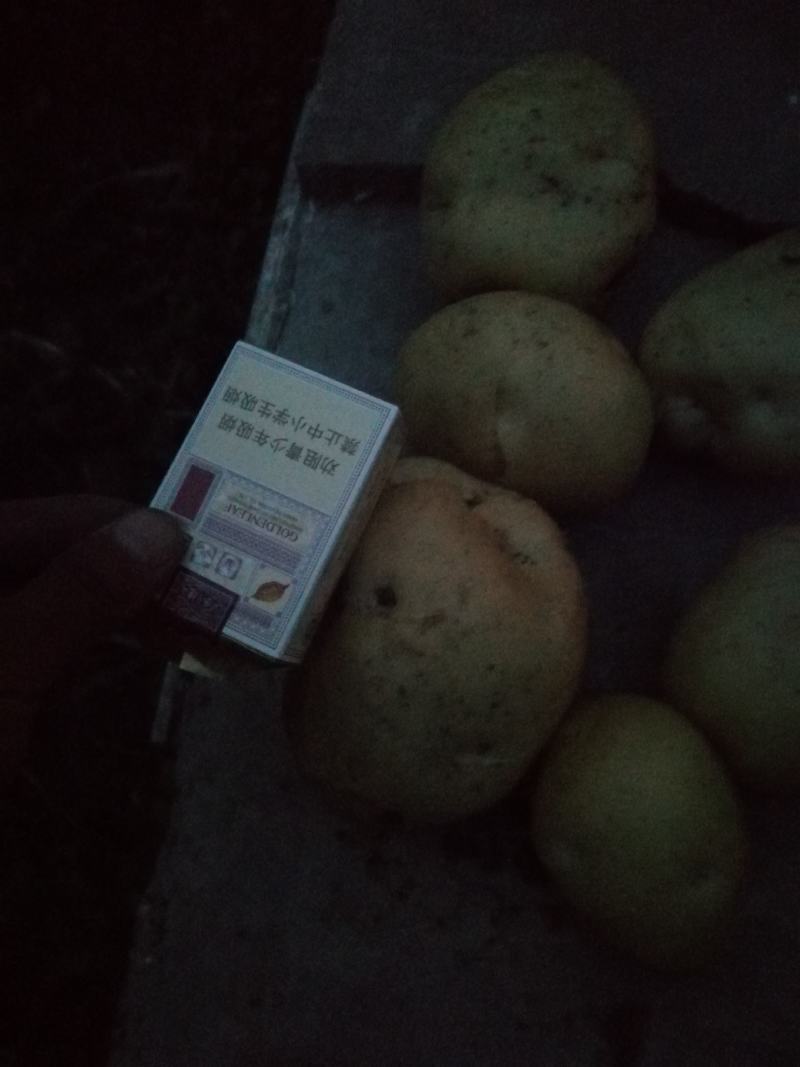 白心二六二两起无青头三有