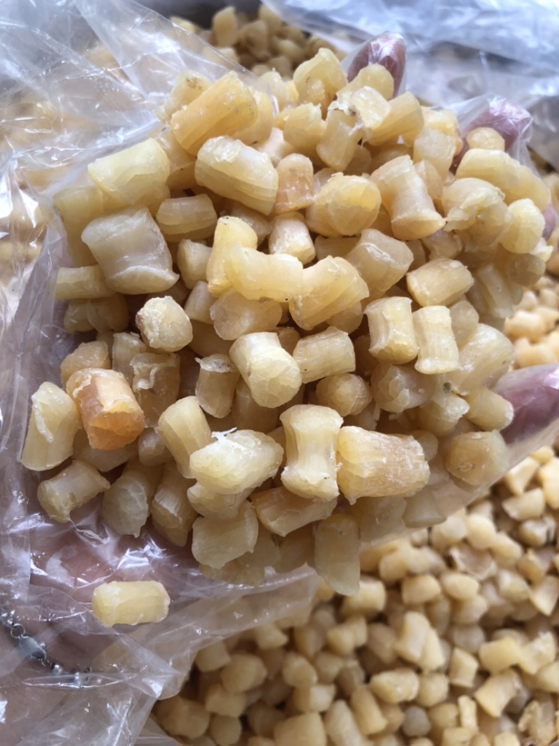 400头足干干贝/瑶柱/糖贝，一手货源量大价优