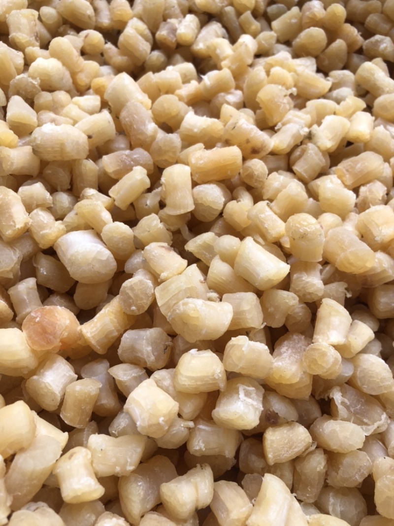 400头足干干贝/瑶柱/糖贝，一手货源量大价优