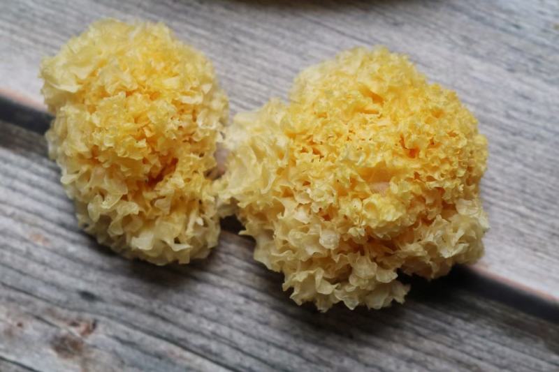 广州人野生通江椴木小银耳干货木耳丑耳鲜炖食材