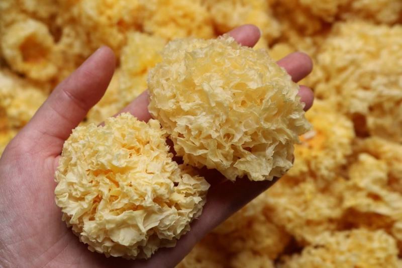 广州人野生通江椴木小银耳干货木耳丑耳鲜炖食材